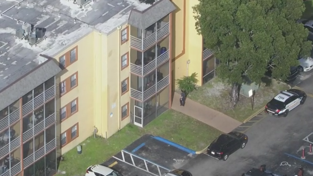 10-year-old girl hospitalized after 8-year-old brother throws knife and hits chest, Lauderhill police say — CBS Miami, Coral Gables Health news