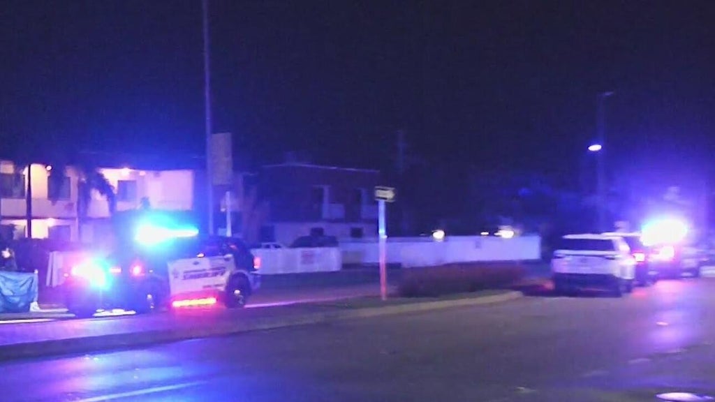 Woman accused of killing man in Dania Beach hit-and-run, BSO says — CBS Miami, Coral Gables Community news