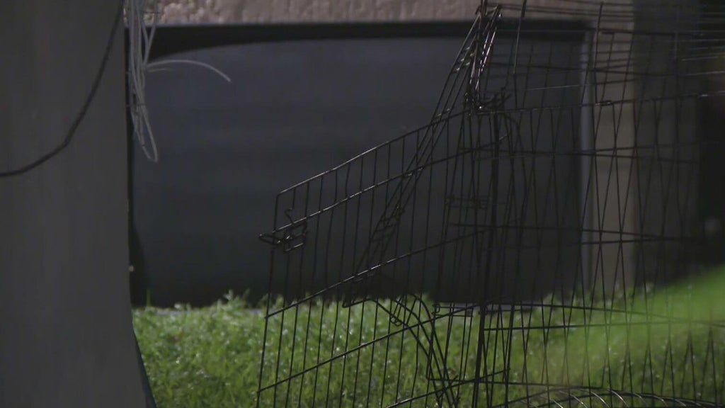 911 call captures frantic report of dog chasing, biting children in Miami — CBS Miami, Coral Gables Health news