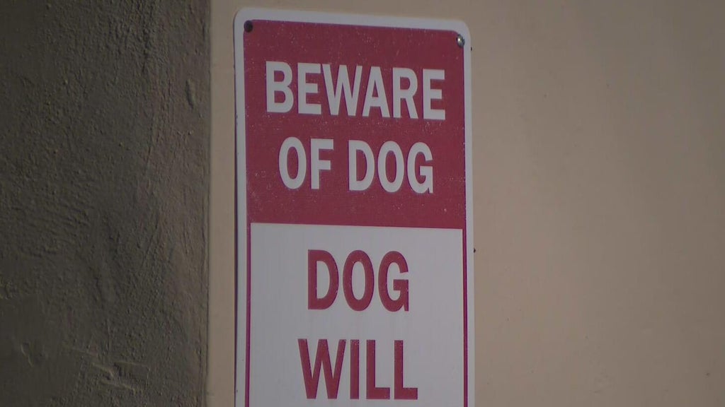 Dog on the loose after attacking a child in northwest Miami-Dade, deputies said — CBS Miami, Coral Gables Health news