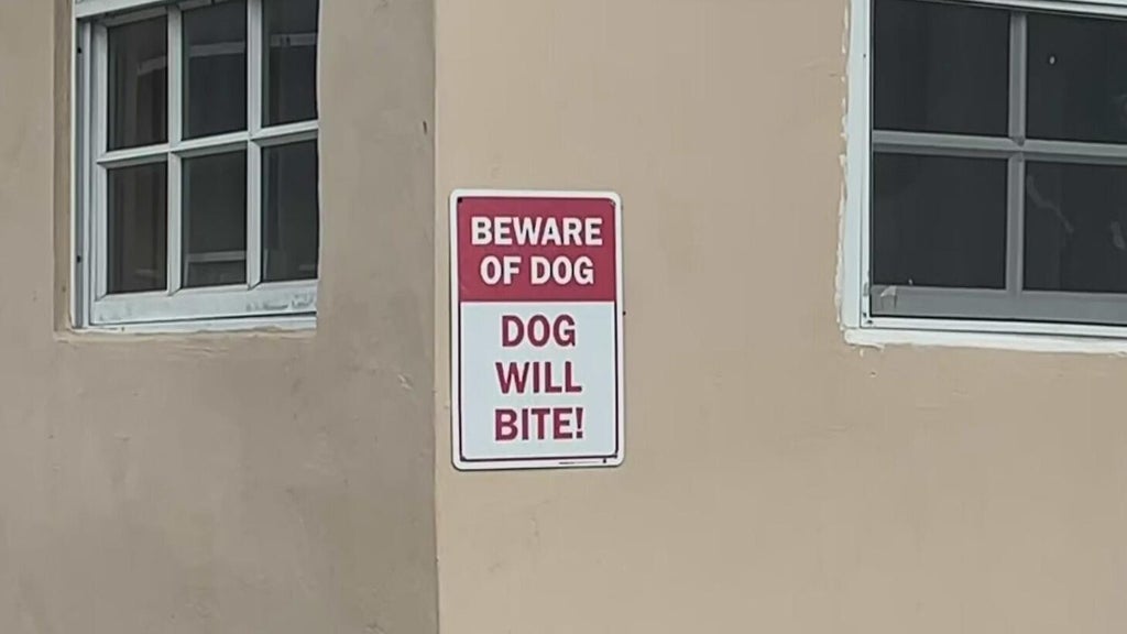 Dog who bit girl in northwest Miami-Dade taken into Animal Services custody — CBS Miami, Coral Gables Community news