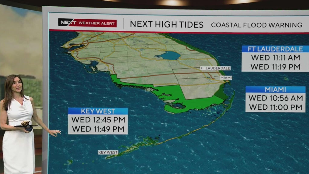 King tide relief on the way after days of relentless high tide flooding across South Florida — Coral Gables Sports news