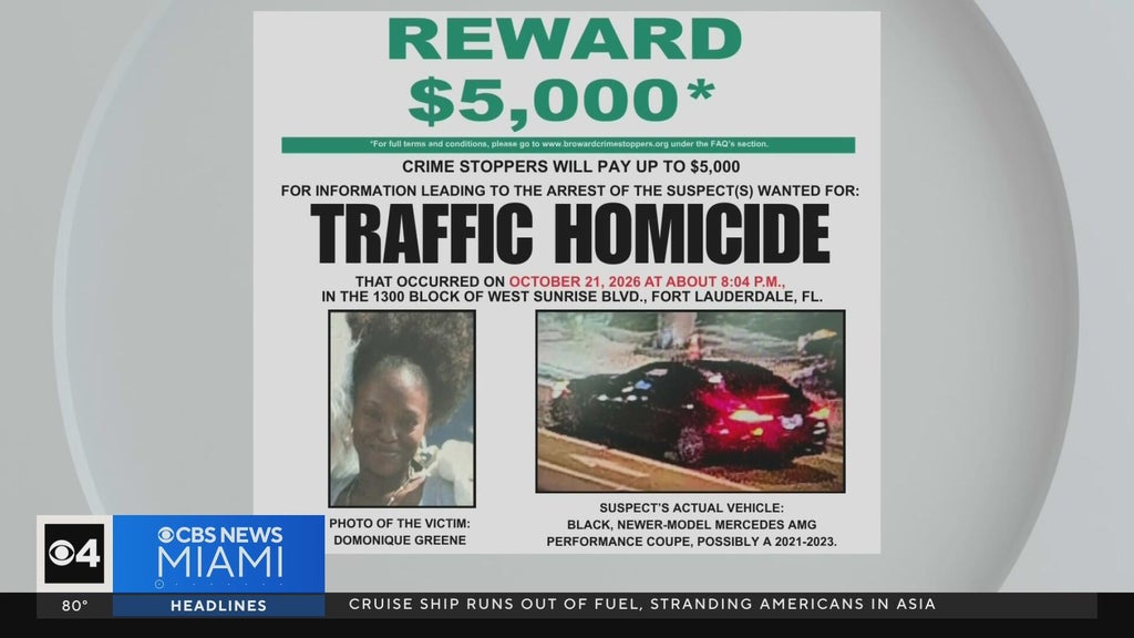 Family of Fort Lauderdale mom killed in hit-and-run pleads for help finding driver — Coral Gables Community news
