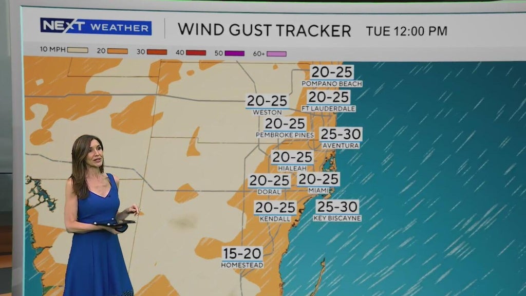 Windy, drier week ahead of taste of fall South Florida style — CBS Miami, Coral Gables Community news