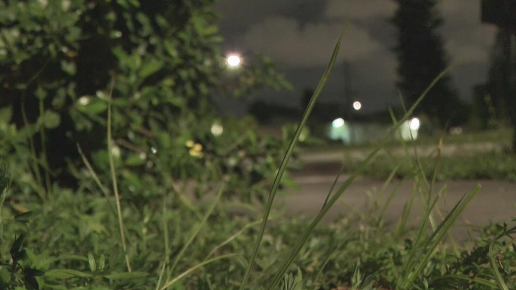 Broward mother says she went months without update after reporting man outside her window — CBS Miami, Coral Gables Real Estate news