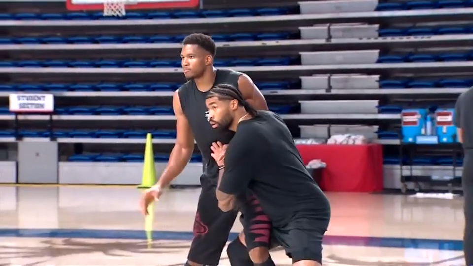 Giannis Antetokounmpo and the Miami Heat could be a perfect title-chasing pairing — WSVN Sports, Coral Gables Health news