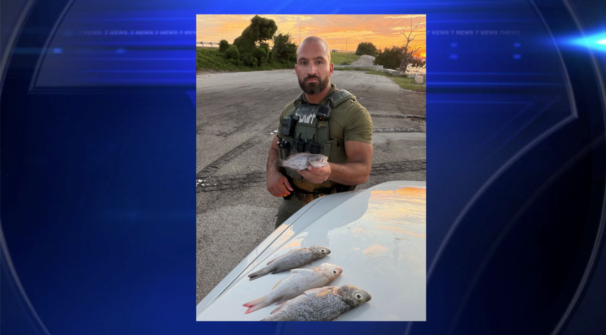 Miami man arrested in Marathon for possession of undersized fish — WSVN 7 Miami-Dade, Coral Gables Community news