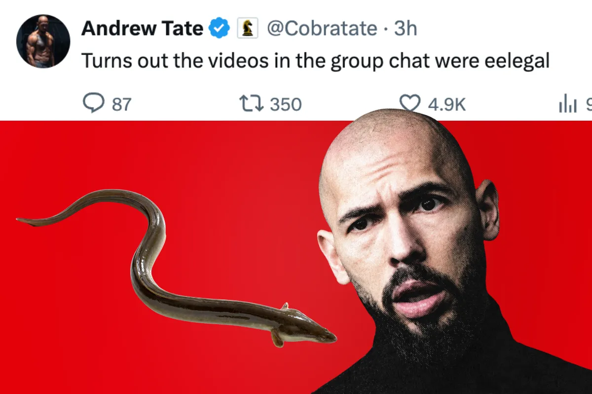 Andrew Tate is having an eel of a time with his animal porn allegations — Miami New Times, Coral Gables Dining news